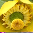 ���� ����. ��������� �� ��!, ������, 72 ���� - ��������� 15 ������ 2012 � ������ ���������