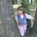 ���� �����, �����, 42 ���� - ��������� 2 ������� 2013 � ������ ���� ����������