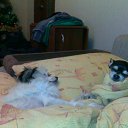 ����� �������� �����)) �� ������� ���� �������)�