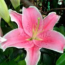 ���� ����� - ���������� ��������!!!, �����������, 56 ��� - ��������� 10 ������ 2010 � ������ ������