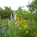 ���� ����, �������� ������ - ��������� 8 �������� 2010 � ������ ������� ��������....�