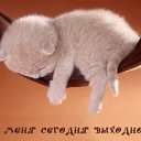 ���� �����, ������ - ��������� 26 ������� 2011