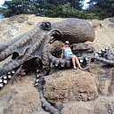 ���� �������.������ �� ������� ������-������ ���� 2010�