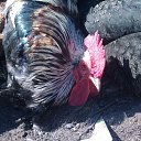 ���� �������, �������, 47 ��� - ��������� 9 ���� 2010 � ������ ���������