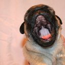 ���� Imp, ������� - ��������� 31 ��� 2011 � ������ �mops�