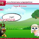  , - -  17  2010   PetLove