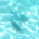 ���� �����, ������, 50 ��� - ��������� 29 �������� 2012