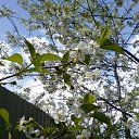 ��� ��� ������..... �� ������� ���� ����������