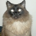   ( ),  -  23  2010     Ҹ!!!