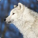 ���� ��������, �����-���������, 29 ��� - ��������� 25 ������ 2012 � ������ ���� ����������