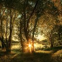 ���� �����, ����� - ��������� 23 ���� 2013