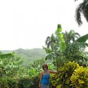 ����������. ����. �� ������� ����������� �� ����� �����