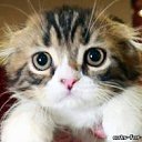 ���� �������, ������ - ��������� 14 �������� 2011 � ������ �RoadKing�