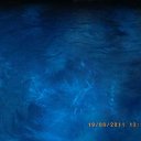 ���� ������, ��������, 41 ��� - ��������� 9 �������� 2011 � ������ �I love Montenegeo�