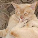 ���� ������ �� ������� ���� ����������