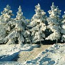 ���� ��������, ������������, 42 ���� - ��������� 17 ������� 2012 � ������ ���� ����������