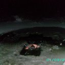 ���� ����, ����, 39 ��� - ��������� 20 ������� 2012 � ������ ���� ����������