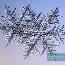 ���� �������, ������, 41 ��� - ��������� 9 ������� 2009 � ������ ���������