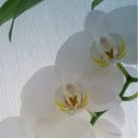  Kisa, , 42  -  9  2011    ...