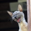 ���� �������, �����-���������, 59 ��� - ��������� 5 ������ 2012