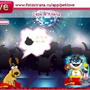 ���� ����, ������, 24 ���� - ��������� 8 ������ 2010 � ������ �PetLove�
