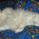 ���� ����, �����-���������, 48 ��� - ��������� 20 ����� 2010 � ������ �������