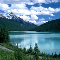 ���� Komil, �������, 43 ���� - ��������� 4 ���� 2012