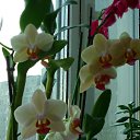 ���� �������, �����, 48 ��� - ��������� 1 ���� 2011 � ������ ���� ������