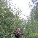 ���� �����, ������� �������� - ��������� 1 ������� 2012 � ������ ���������� ������