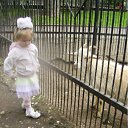 ���� �������, ����������� - ��������� 22 ��� 2011 � ������ �� �������� � � ������� �������