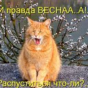 ���� ������, �����������, 50 ��� - ��������� 16 ������ 2010 � ������ ������ � ���������� ����������
