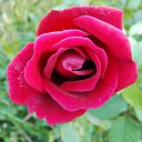 ���� ���������, ���������� - ��������� 22 ������� 2010 � ������ ������� � ��������...�