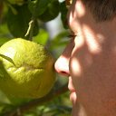 ���� ������, �����-���������, 43 ���� - ��������� 5 ������� 2011 � ������ ���� ����������