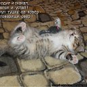���� ����, �����, 50 ��� - ��������� 9 ������ 2010 � ������ ������������