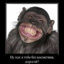 ���� ��������, �����, 44 ���� - ��������� 17 ������� 2012 � ������ �������