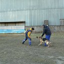 ���� �������, ������������, 48 ��� - ��������� 22 ������ 2012 � ������ ���� ����������