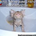 ���� �����, �����������, 41 ��� - ��������� 12 ������� 2010 � ������ �������� ���������!�