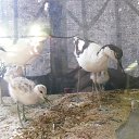 ���� ���, ��������, 30 ��� - ��������� 11 ���� 2013 � ������ ���� ����������