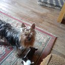 ���� ���, ������, 60 ��� - ��������� 24 �������� 2010 � ������ �� � �������� ��������