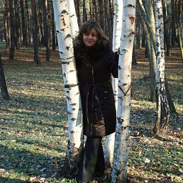 �������, ������, 53 ����