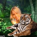 ���� �����, �������, 50 ��� - ��������� 3 ������ 2013 � ������ �������� ��� ������