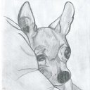  05.05.2011    .
