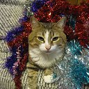 ���� ���, ������, 24 ���� - ��������� 5 ������ 2010