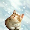 ���� �������, ������ - ��������� 24 ���� 2012 � ������ �������