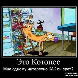 ���� ���������, ��������, 27 ��� - ��������� 17 ������ 2009