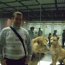 �����, ������, 51 ���