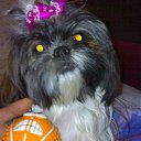  Jill,  -  1  2012   )