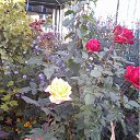 ���� �������, ������, 57 ��� - ��������� 14 ���� 2012 � ������ ���� ������