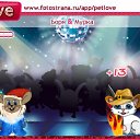  , --, 22  -  13  2011   PetLove