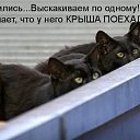 ���� �����, �������, 36 ��� - ��������� 17 ������� 2009 � ������ ���������